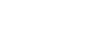 BetWarrior 500x500_white